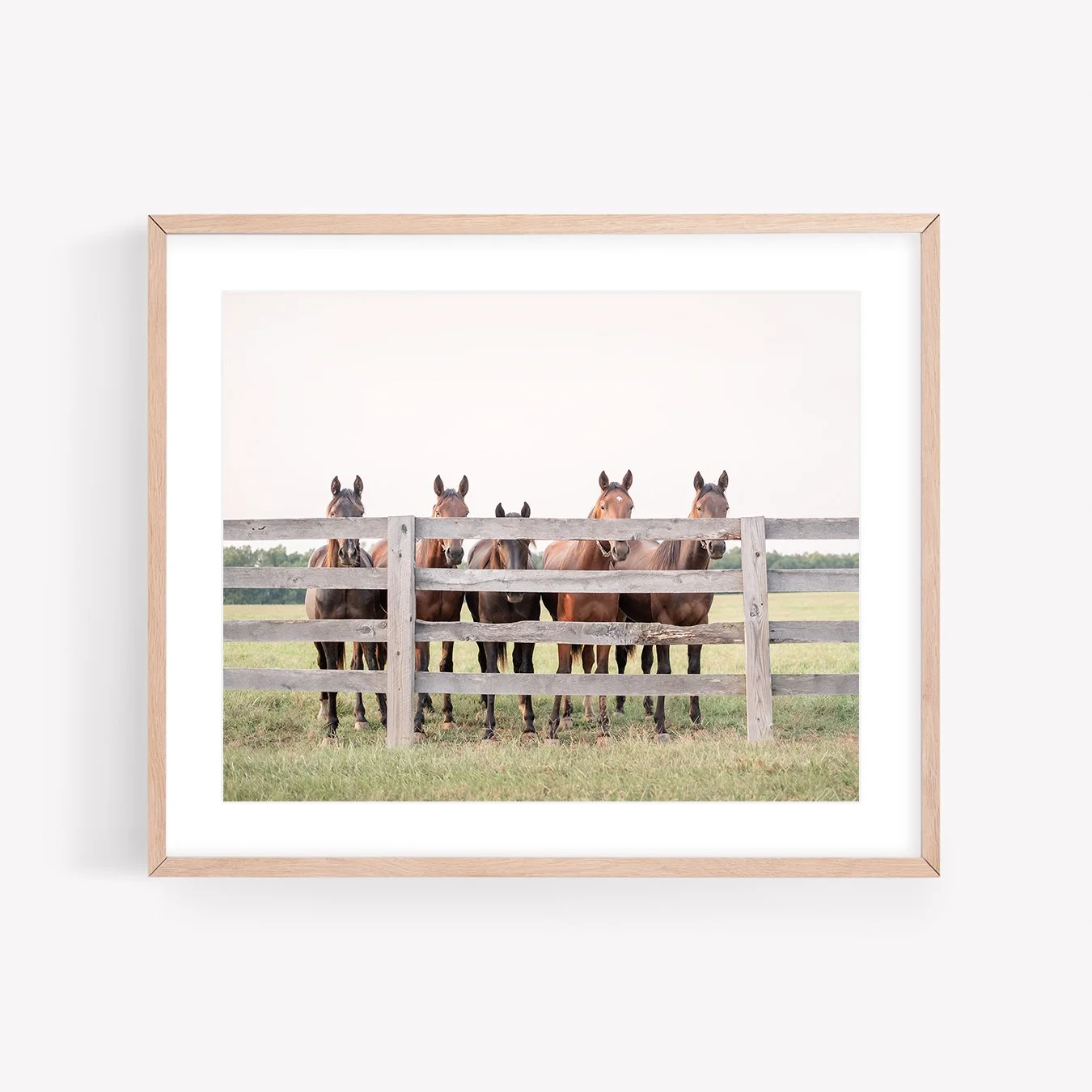 LRPShopFramed.jpg
