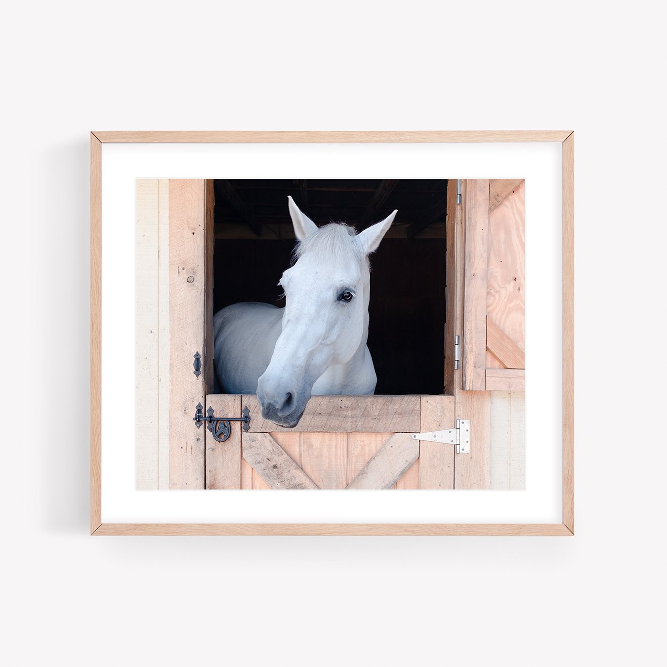 LRPShopFramed.jpg