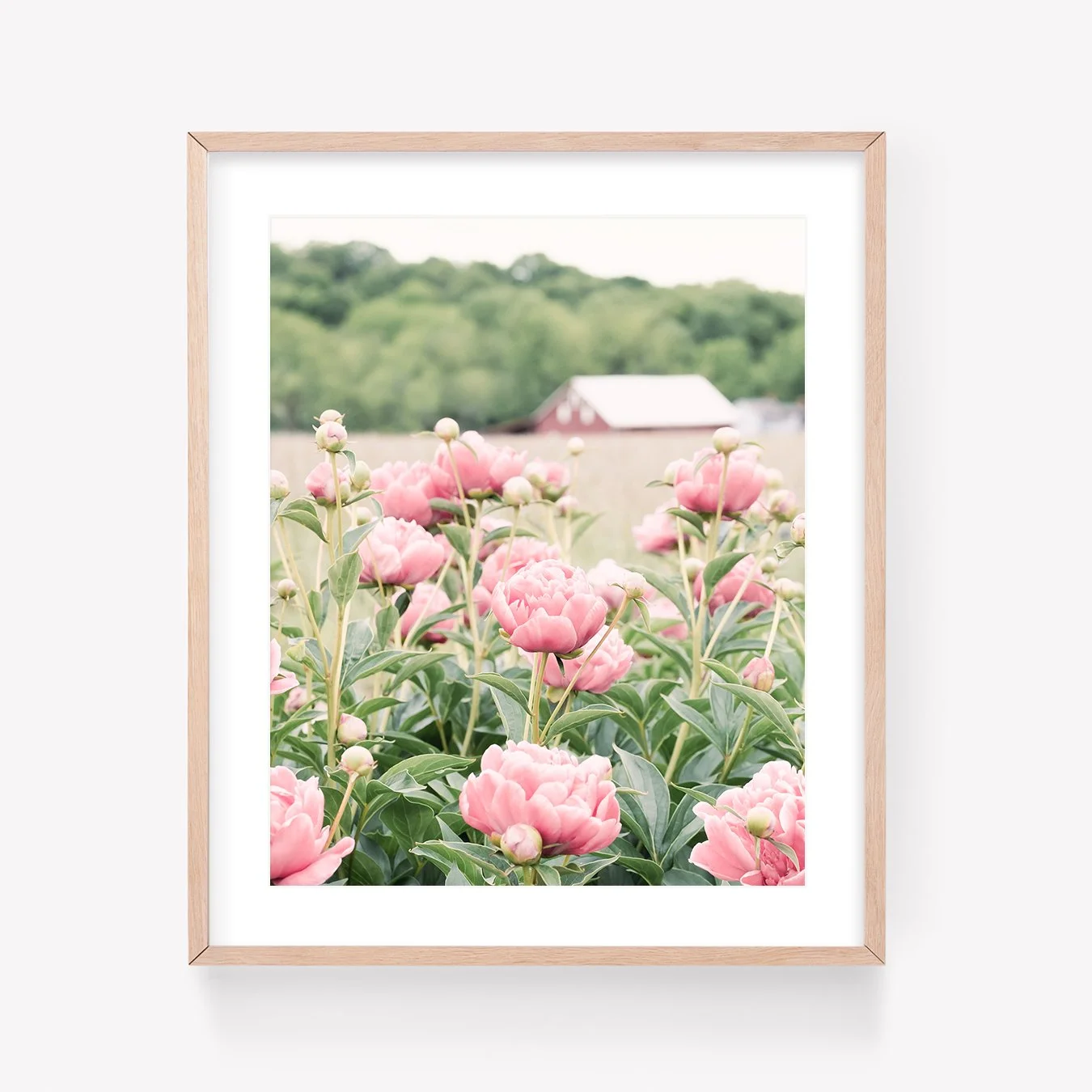 LRPShopFramed.jpg