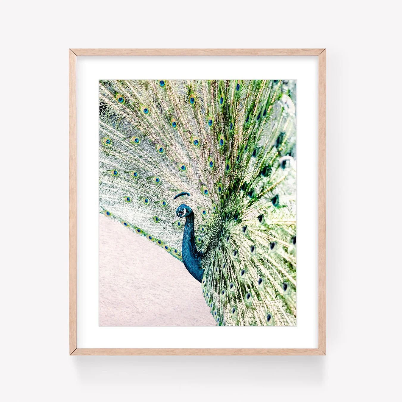 LRPShopFramed.jpg