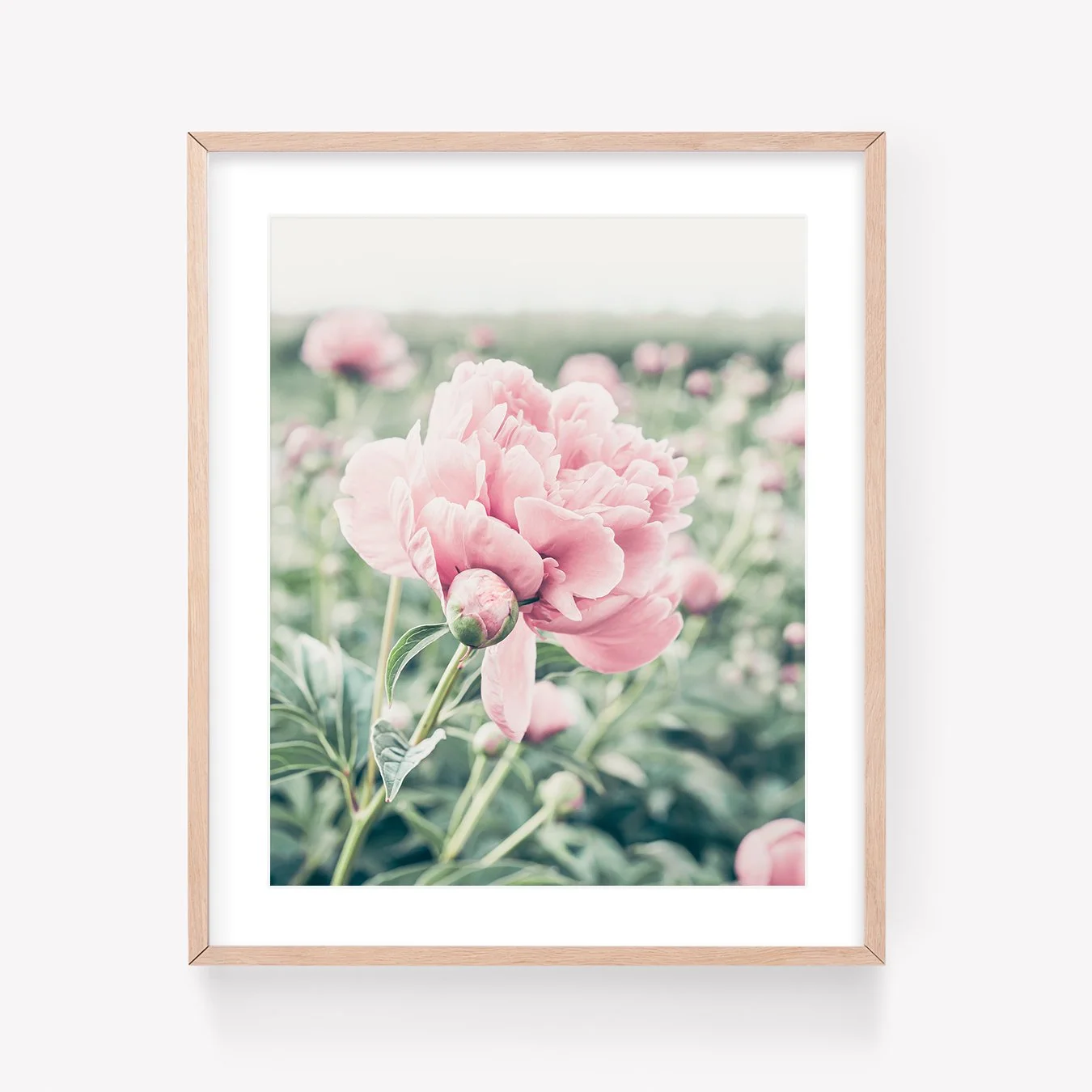 LRPShopFramed.jpg