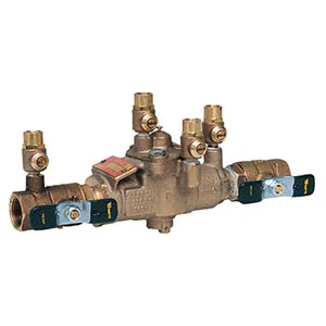 009 Back Flow Preventers