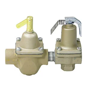 1450F 1/2 Dual Controls (Regulator and Relief Valve)