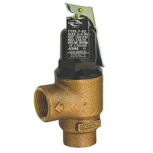 F82 Pressure Only ASME Relief Valve