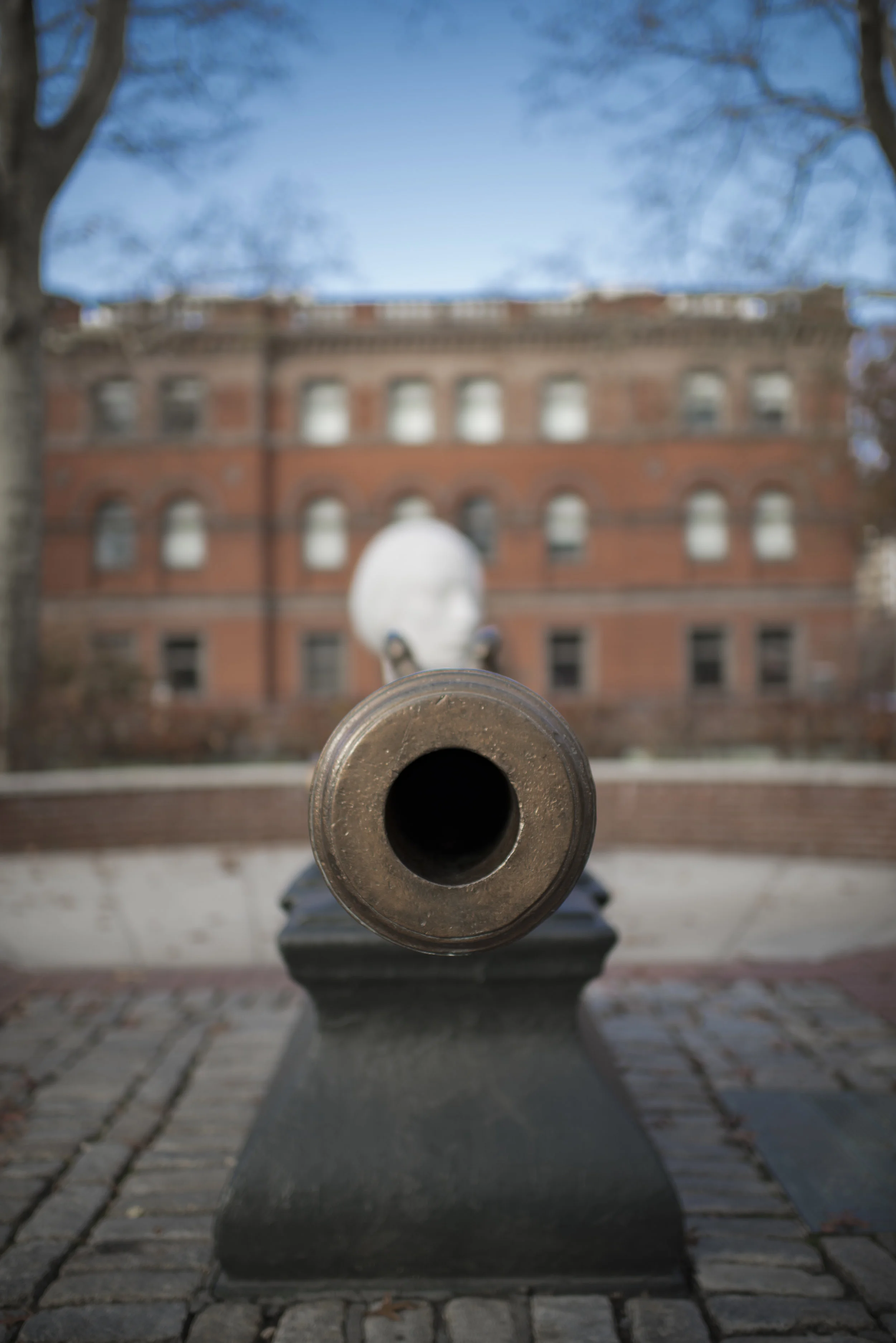 Cannon 1.jpg