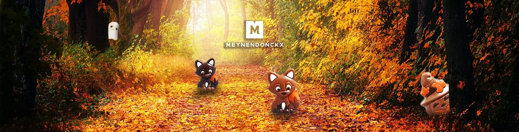 herfst 2022 banner.jpg