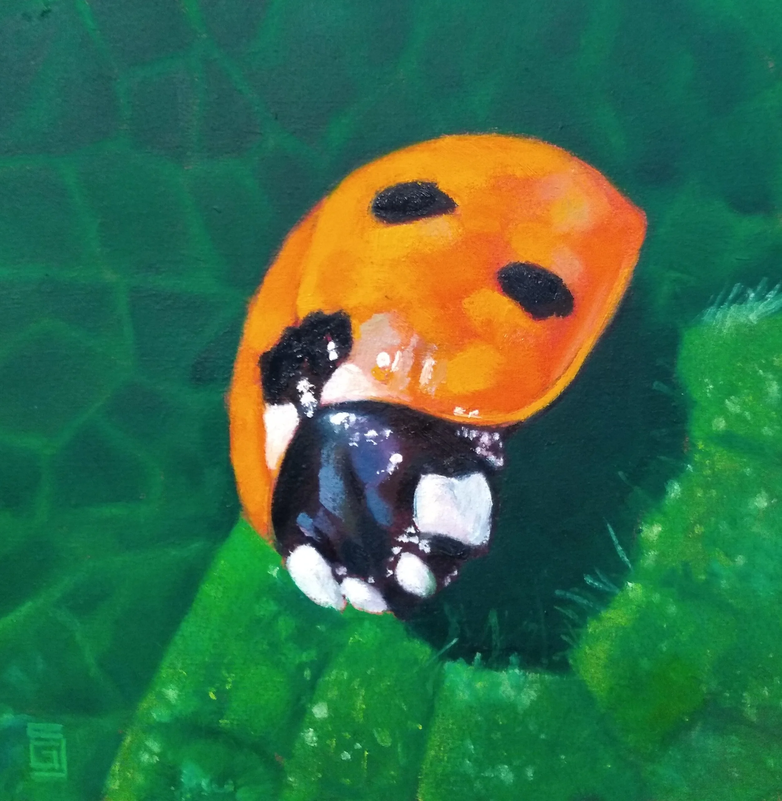 Ladybird I