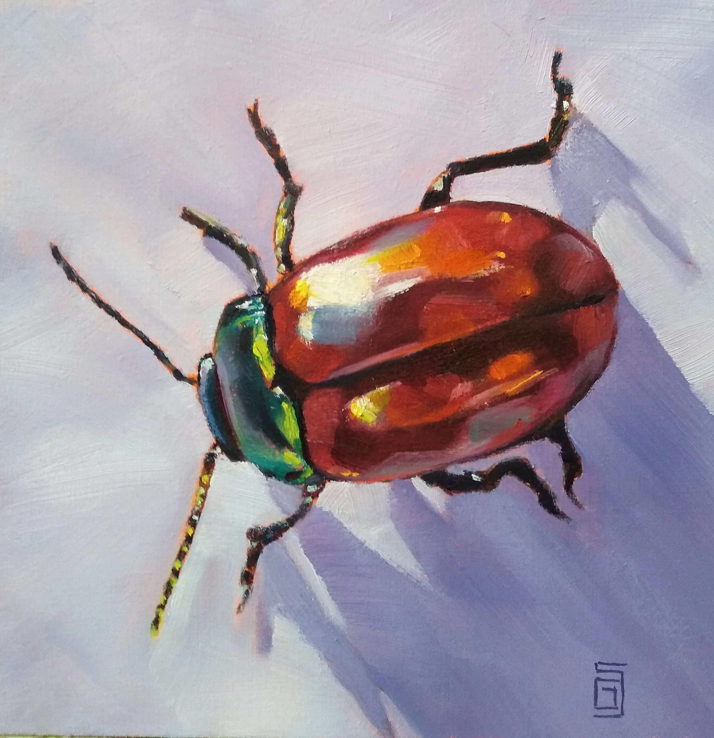 Leaf Beetle