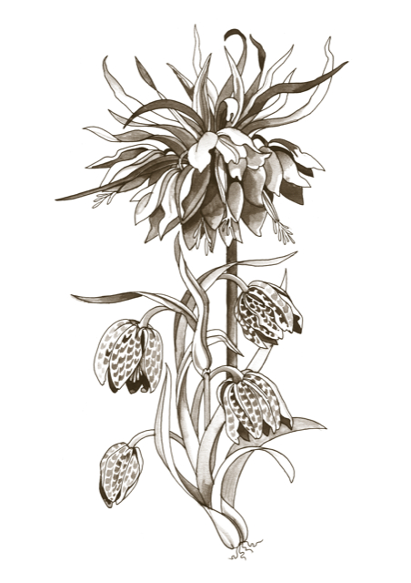 Illustration contact.jpg