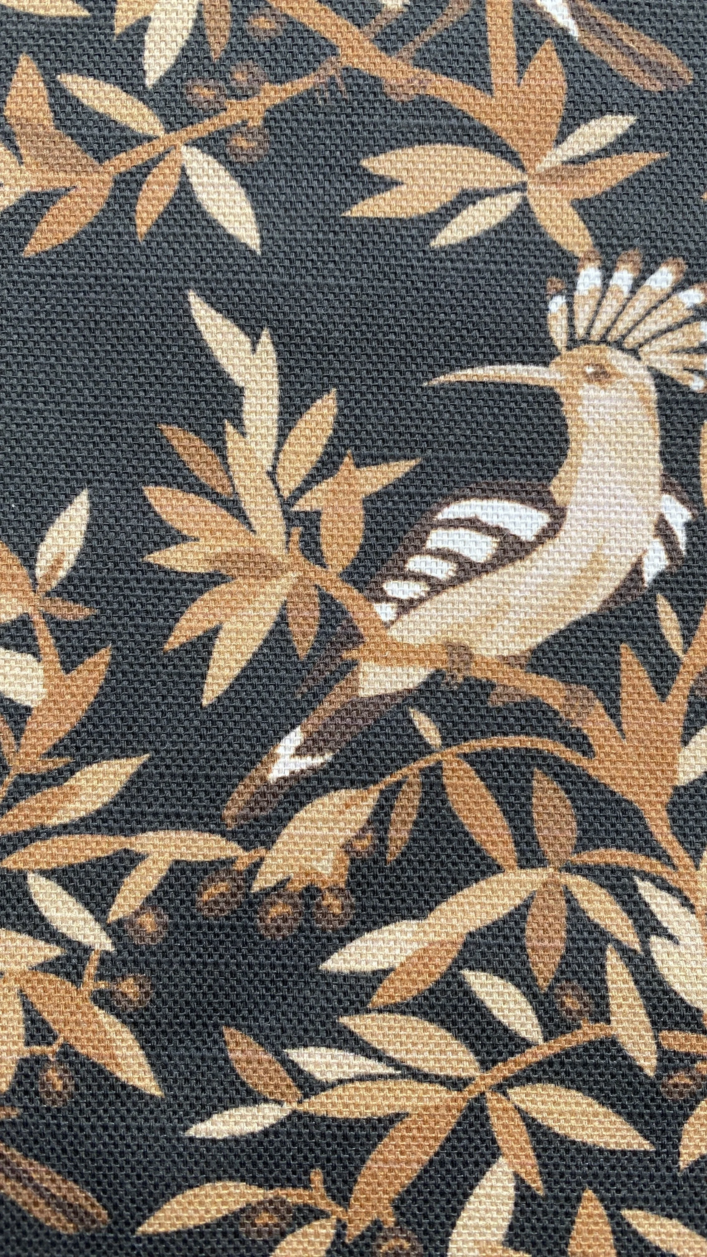 Jay black_orange.jpg