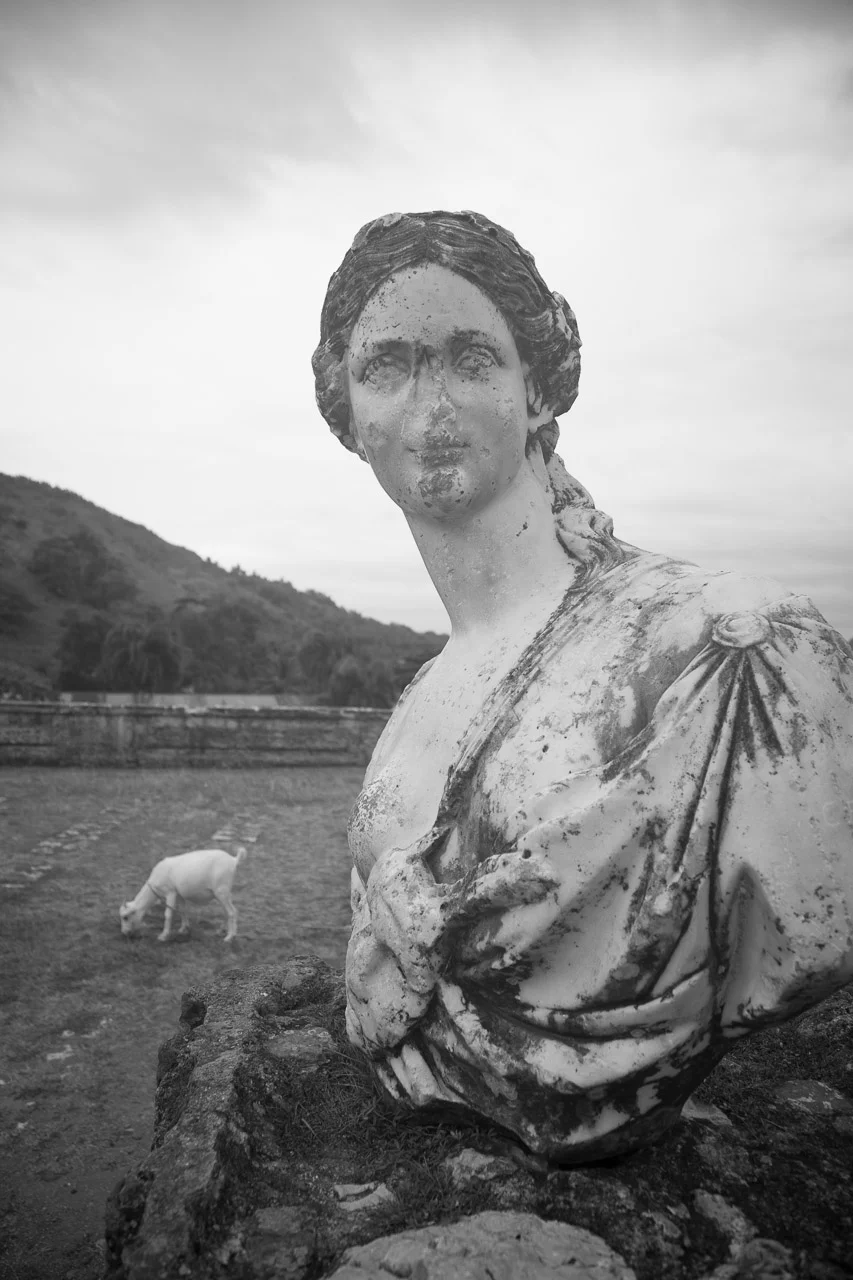 Black and white photo of an ancient bust of a woman with detailed features, rounded face, and long hair, placed outdoors on a rough stone base with a field and a grazing cow in the background under a cloudy sky.