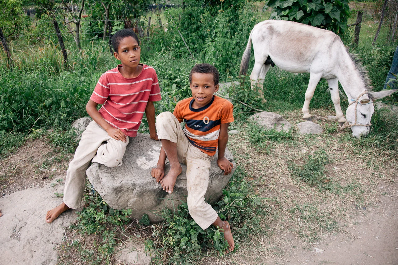 Two young boys with dark hair and brown skin, one sitting on a large rock and the other sitting on the ground, outdoors in a grassy area with greenery and a white donkey grazing nearby.