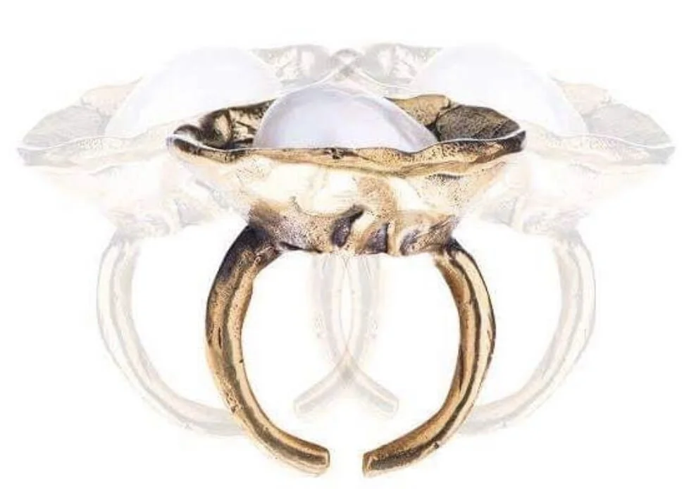 B2FB3108-1C02-452E-885E-F0486F60A27F