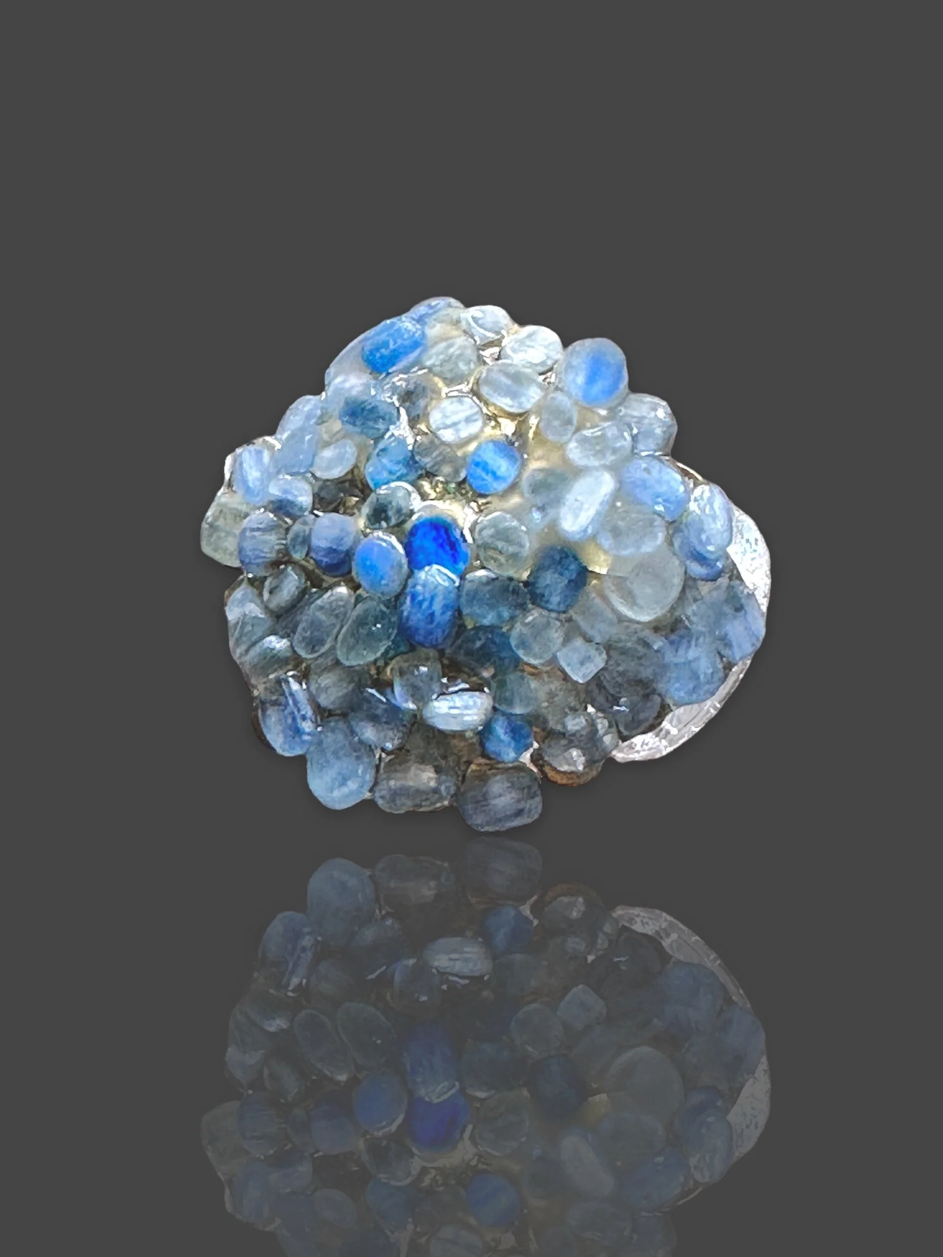 E205033C-EC19-4F55-99DF-0C444F0C8E29