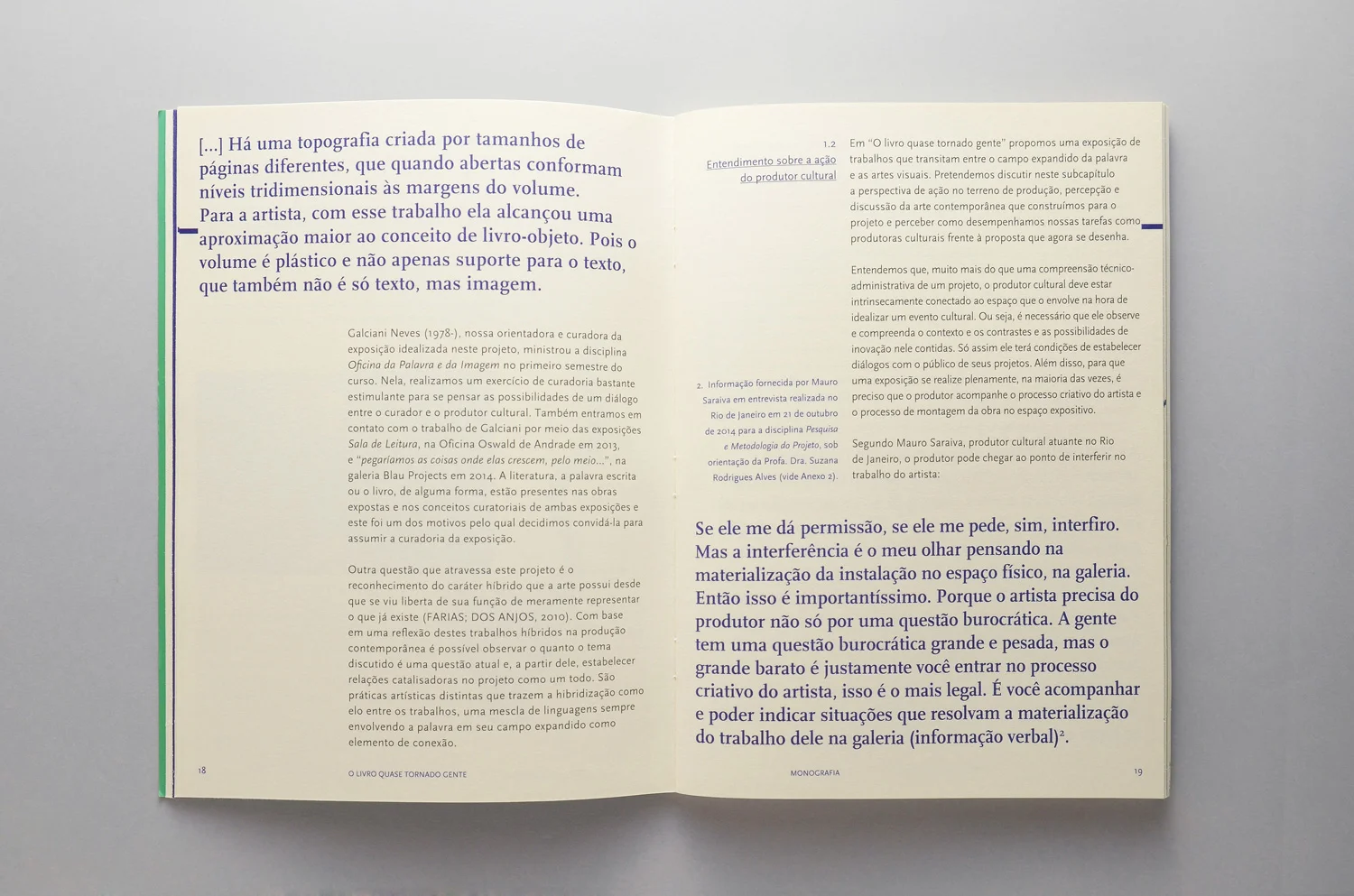 MIOLO | MONOGRAFIA (DETALHE)