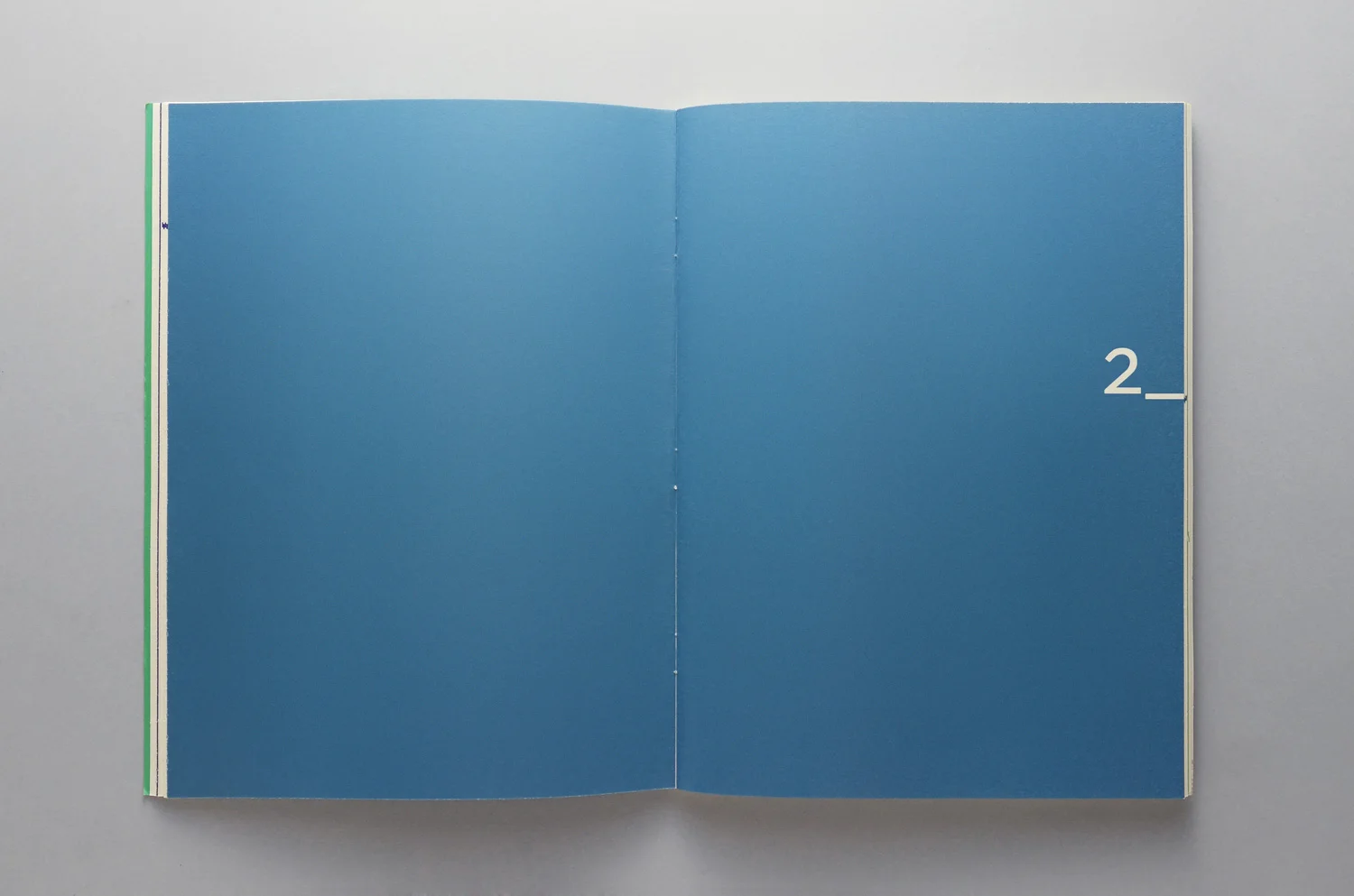 MIOLO | MONOGRAFIA (DETALHE)