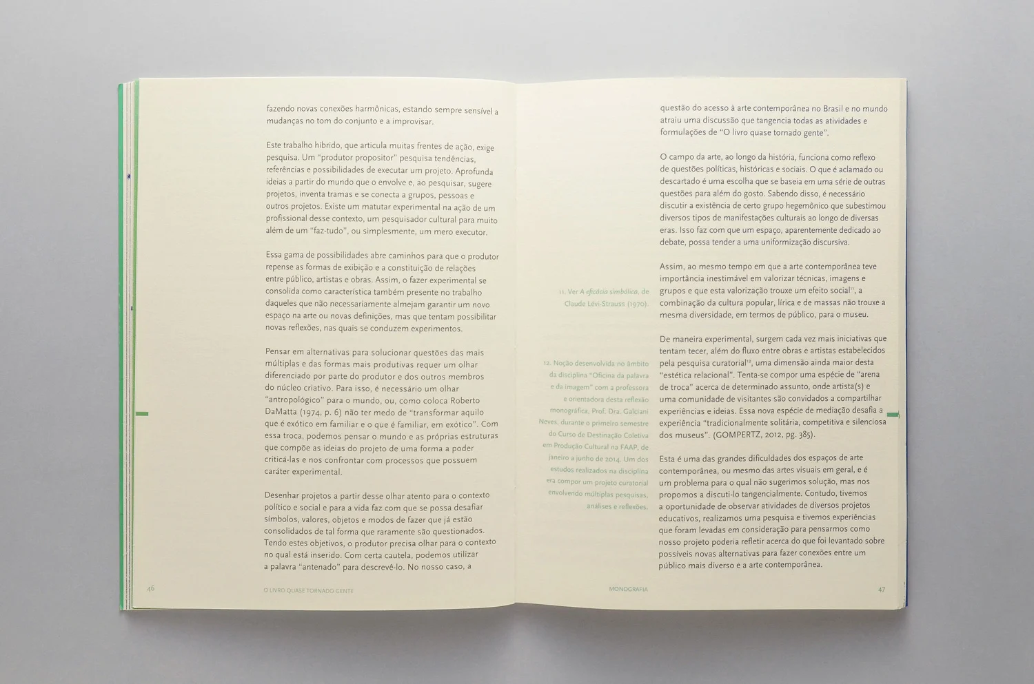 MIOLO | MONOGRAFIA (DETALHE)