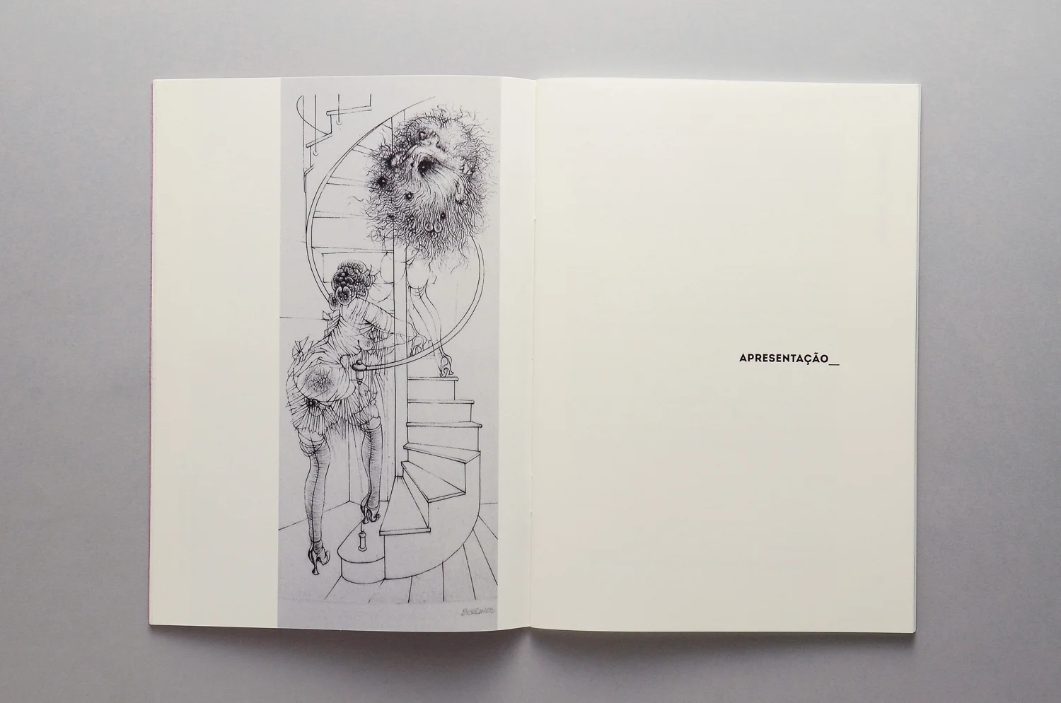 EDWARDA | MIOLO