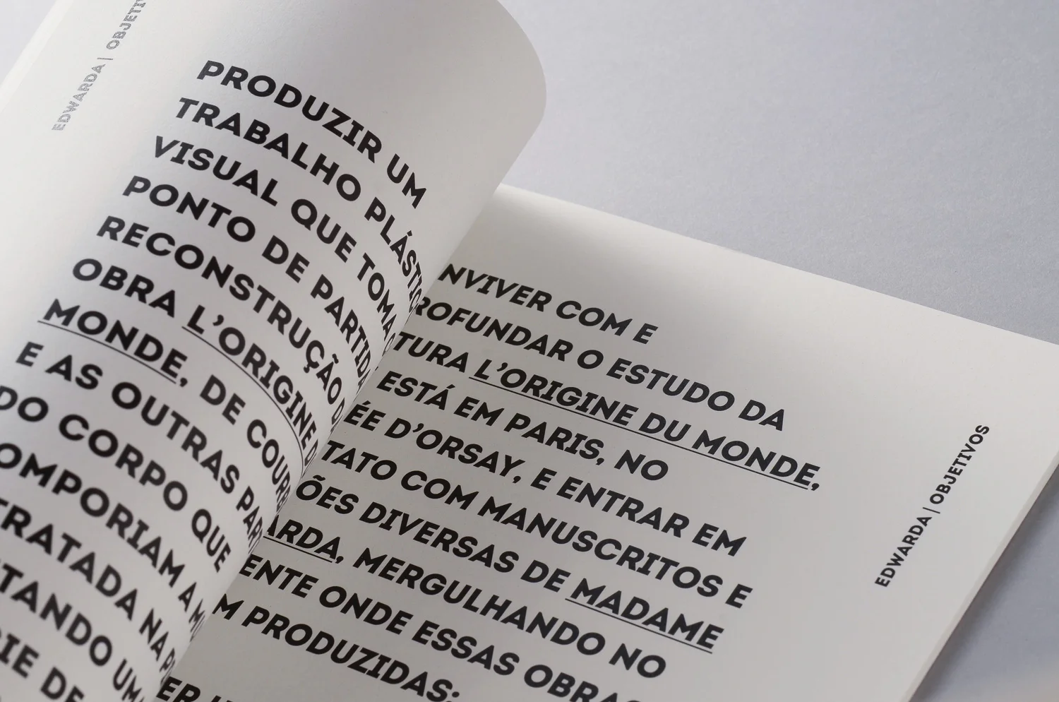 EDWARDA | MIOLO (DETALHE)
