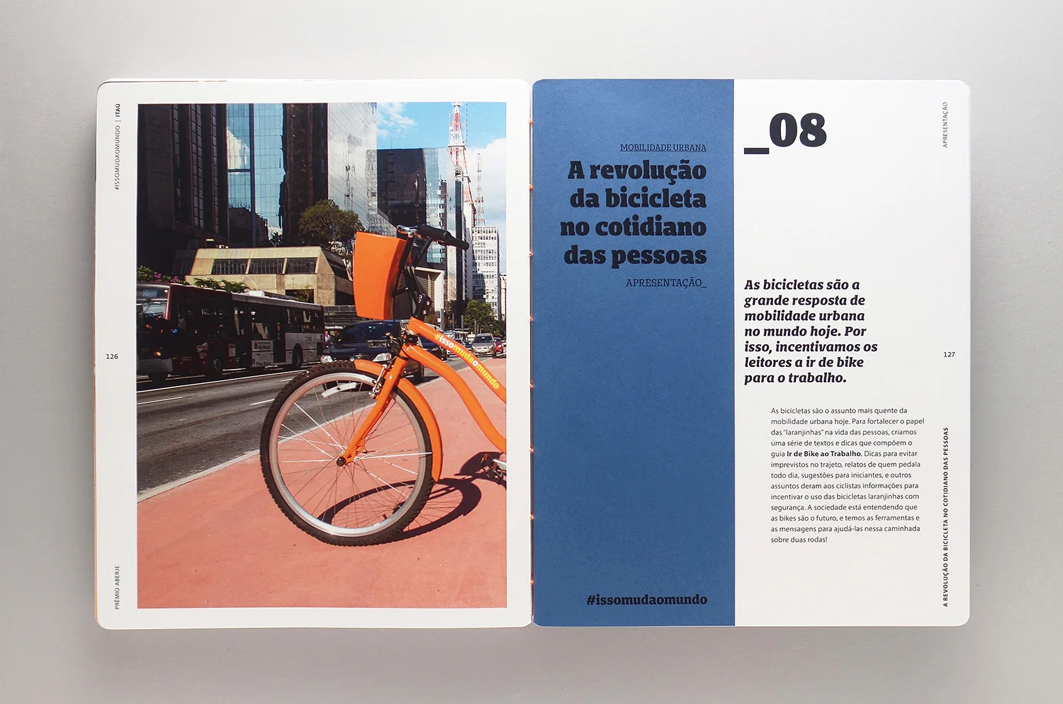 miolo | detalhe
