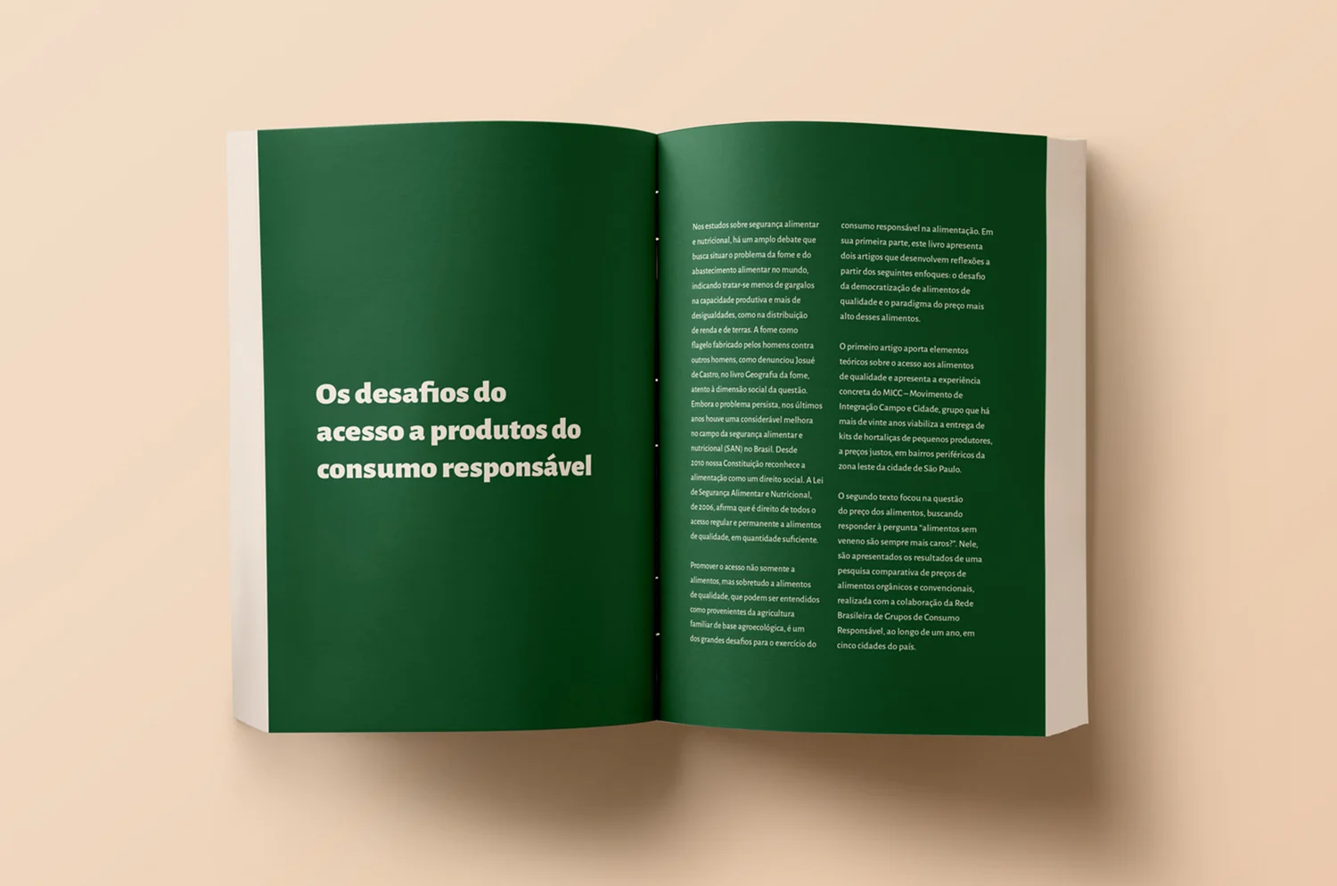 miolo | detalhe