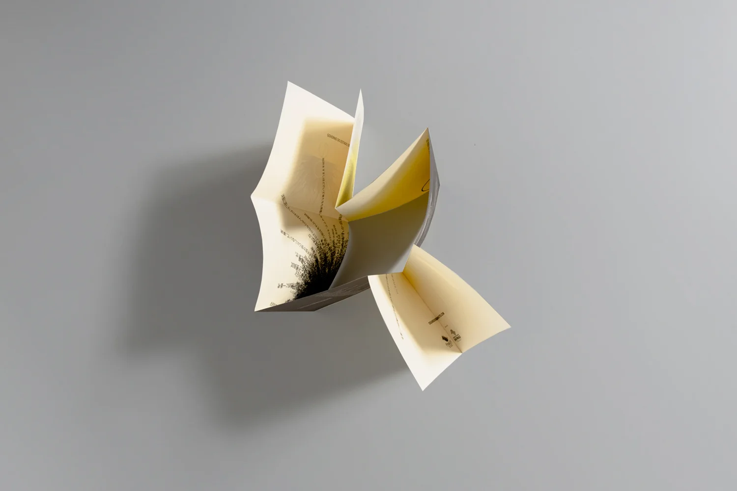 FOLDER | detalhe