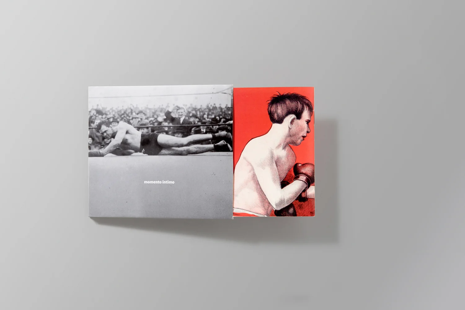 capa e encarte