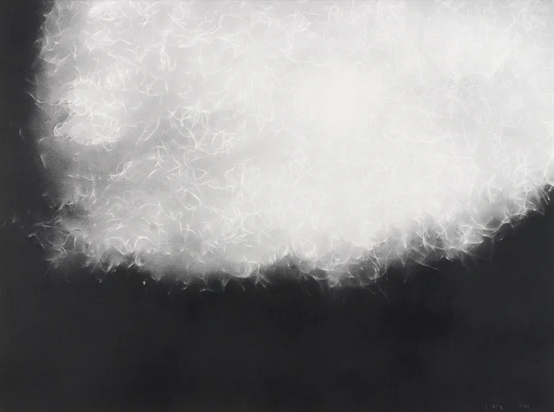 Spanish Moss 1104 , Spray paint and wax pencil on paper, 22 x 30 inches, 2011