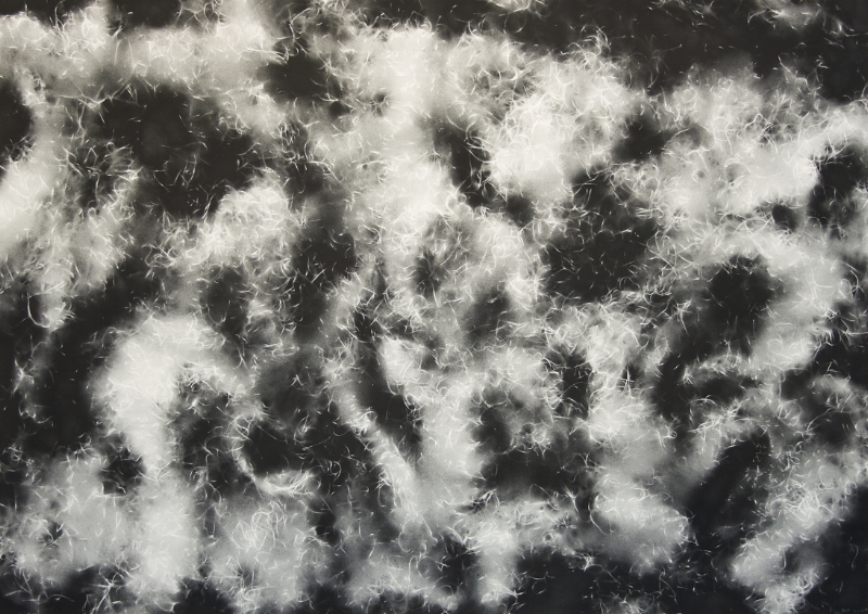    Spanish Moss 1221  , spray paint and wax pencil on paper, 29 x 40 inches, 2012 