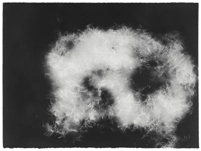 Spanish Moss 1229 , Spray paint and wax pencil on paper, 22 x 30 inches, 2012