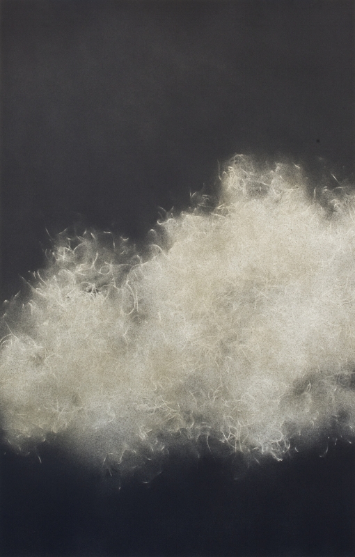   Spanish Moss 1224 , spray paint and wax pencil on paper, 22 x 19 inches, 2012 