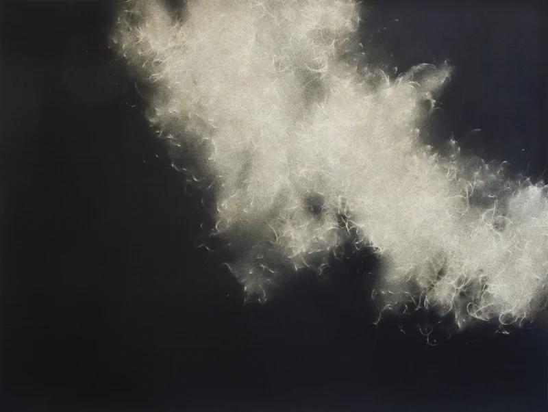 Spanish Moss 1223 , Spray paint and wax pencil on paper, 22 x 30 inches, 2012
