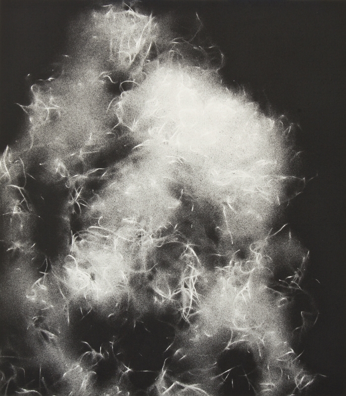   Spanish Moss 1218 , spray paint and wax pencil on paper, 16 x 12 inches, 2012 