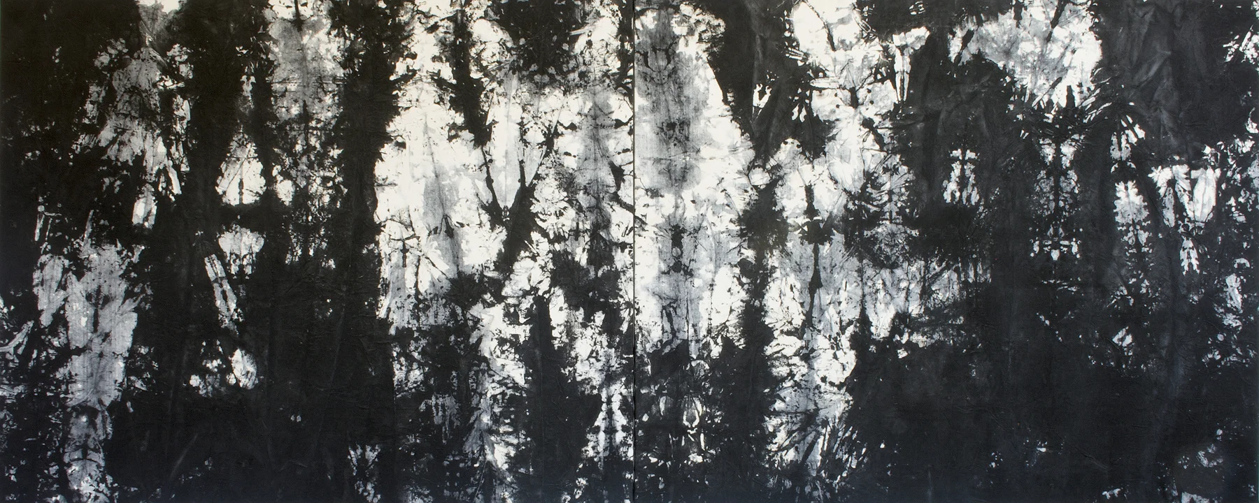 Luminous beings are we , India ink on canvas, 47 x 116 inches, 2013