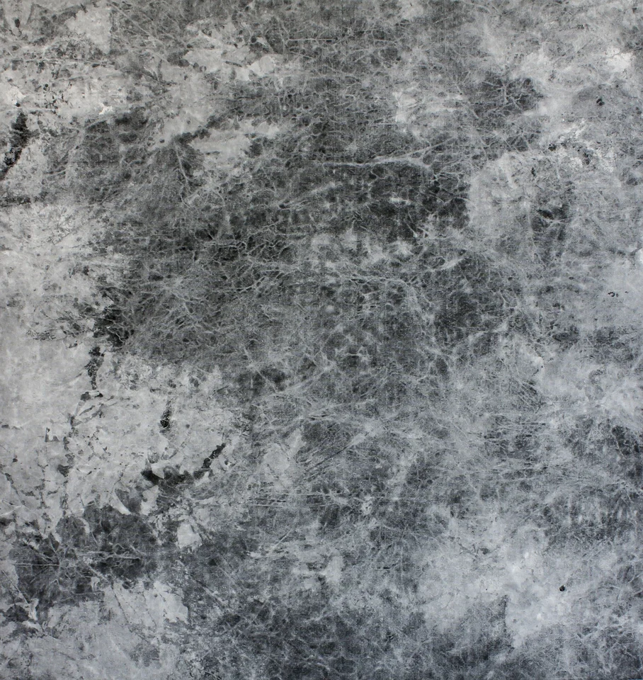 Complete Circle 2 , India ink on canvas, 42 x 40 inches, 2013