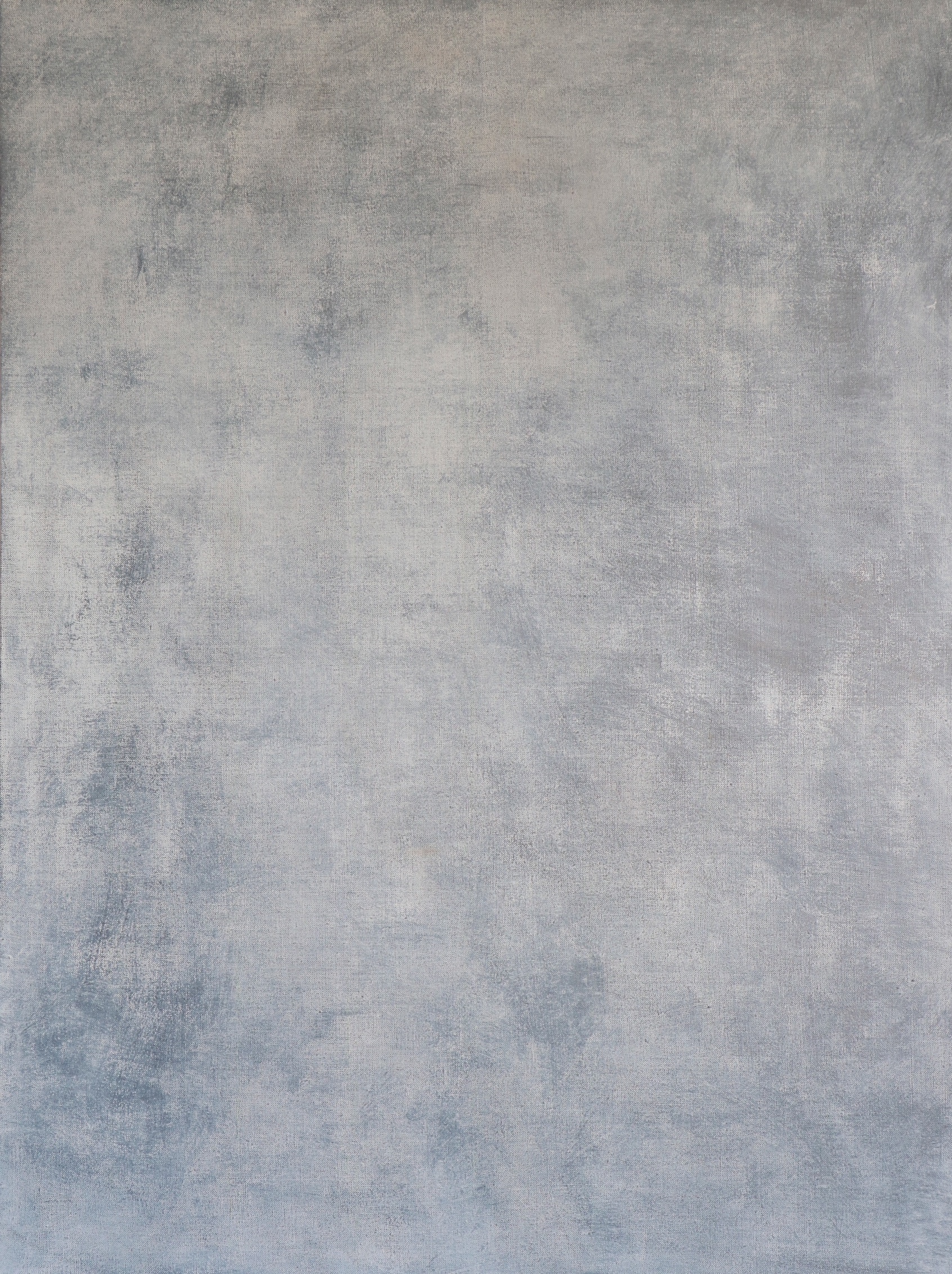 Bianca Lina 1 , oil on linen, 40 x 30 inches, 2018