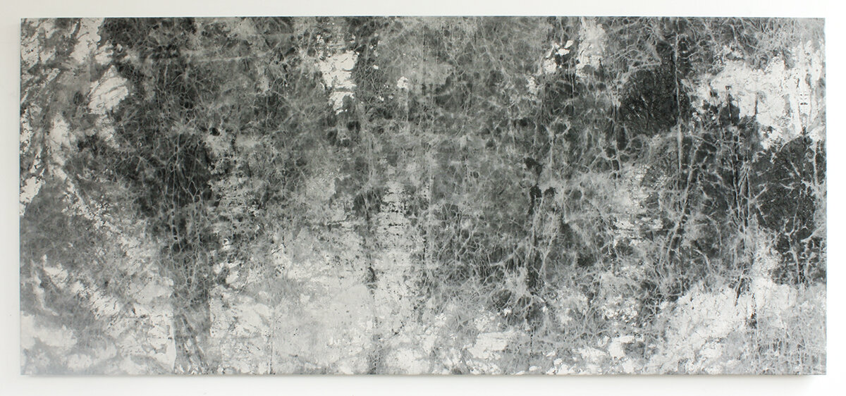    Daisy in fligh  t, India ink on raw canvas, approximately 42 x 90 inches, 2013 