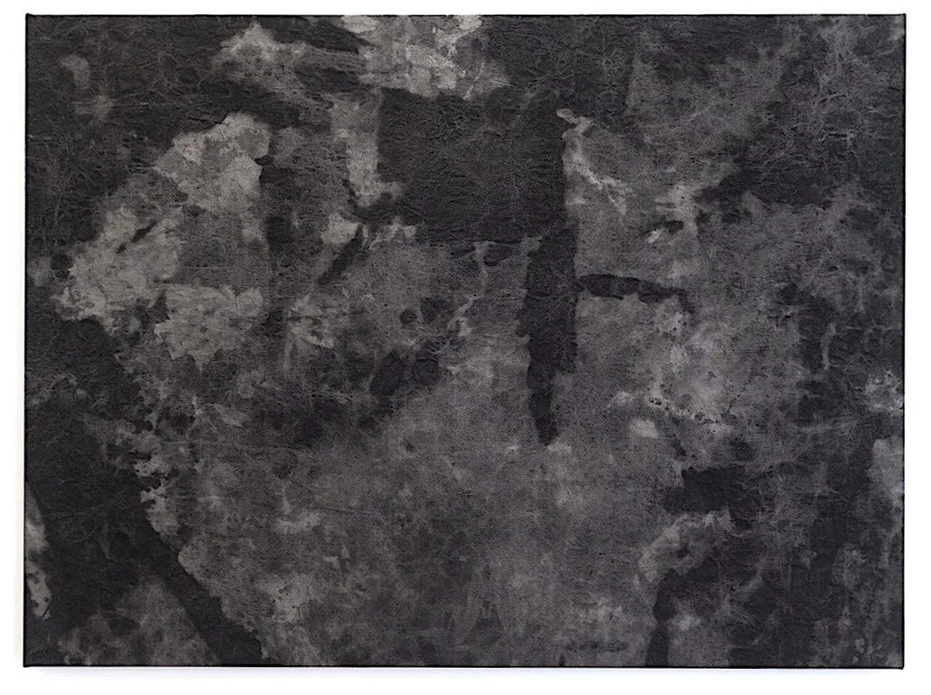    Peat  , 2025  India ink on canvas  40 x 54 in   