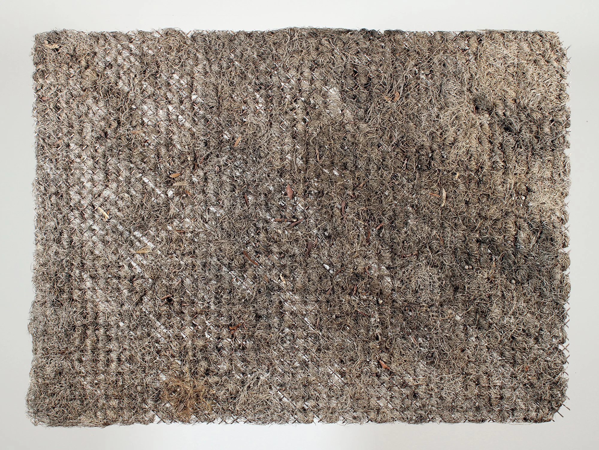    Garden,   2025  Dried plant material, copper mesh, nylon line  36 1/2 × 50 × 1 3/4 in  Suspended installation   