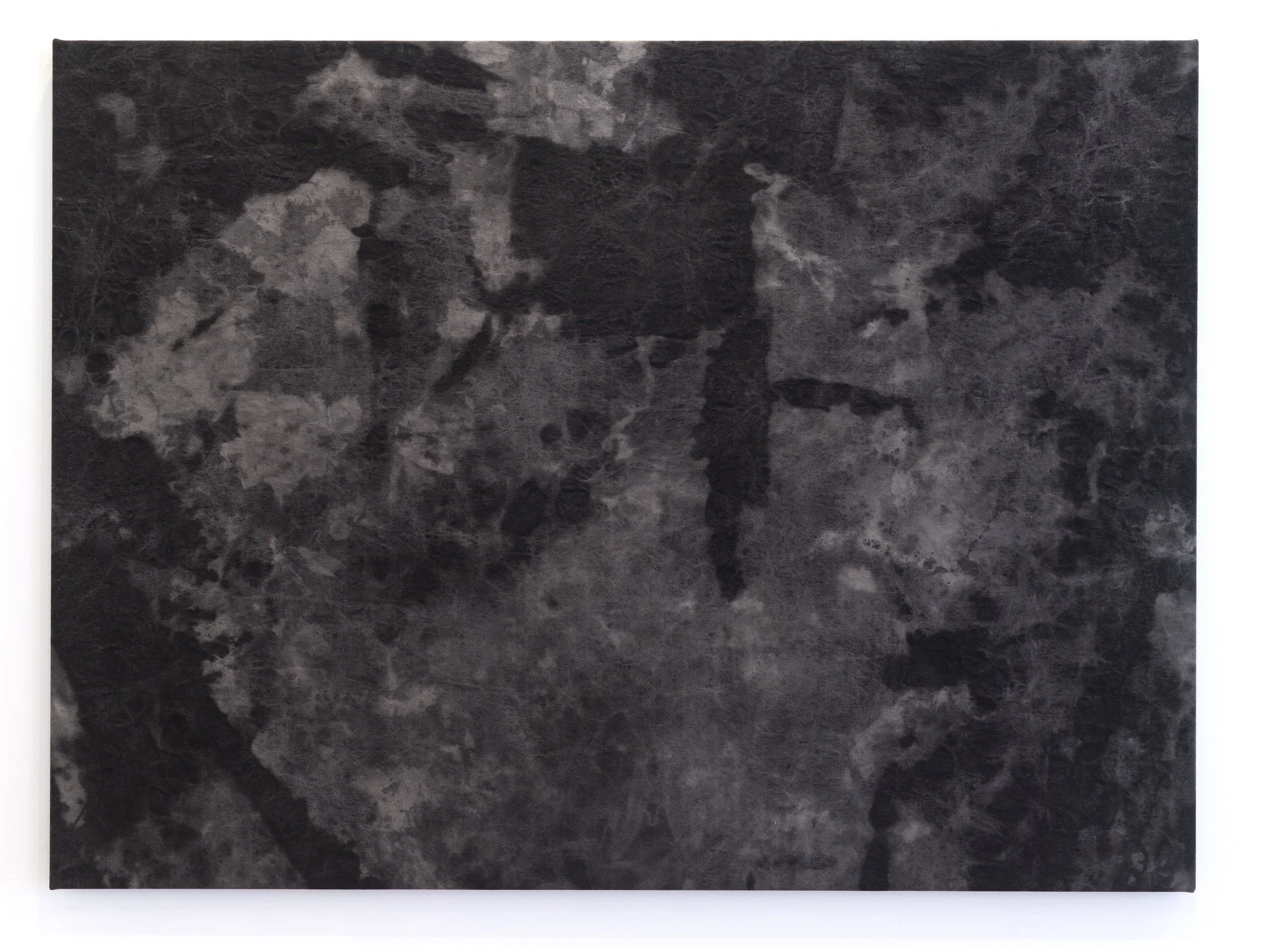    Peat  , 2025  India ink on canvas  40 x 54 in   