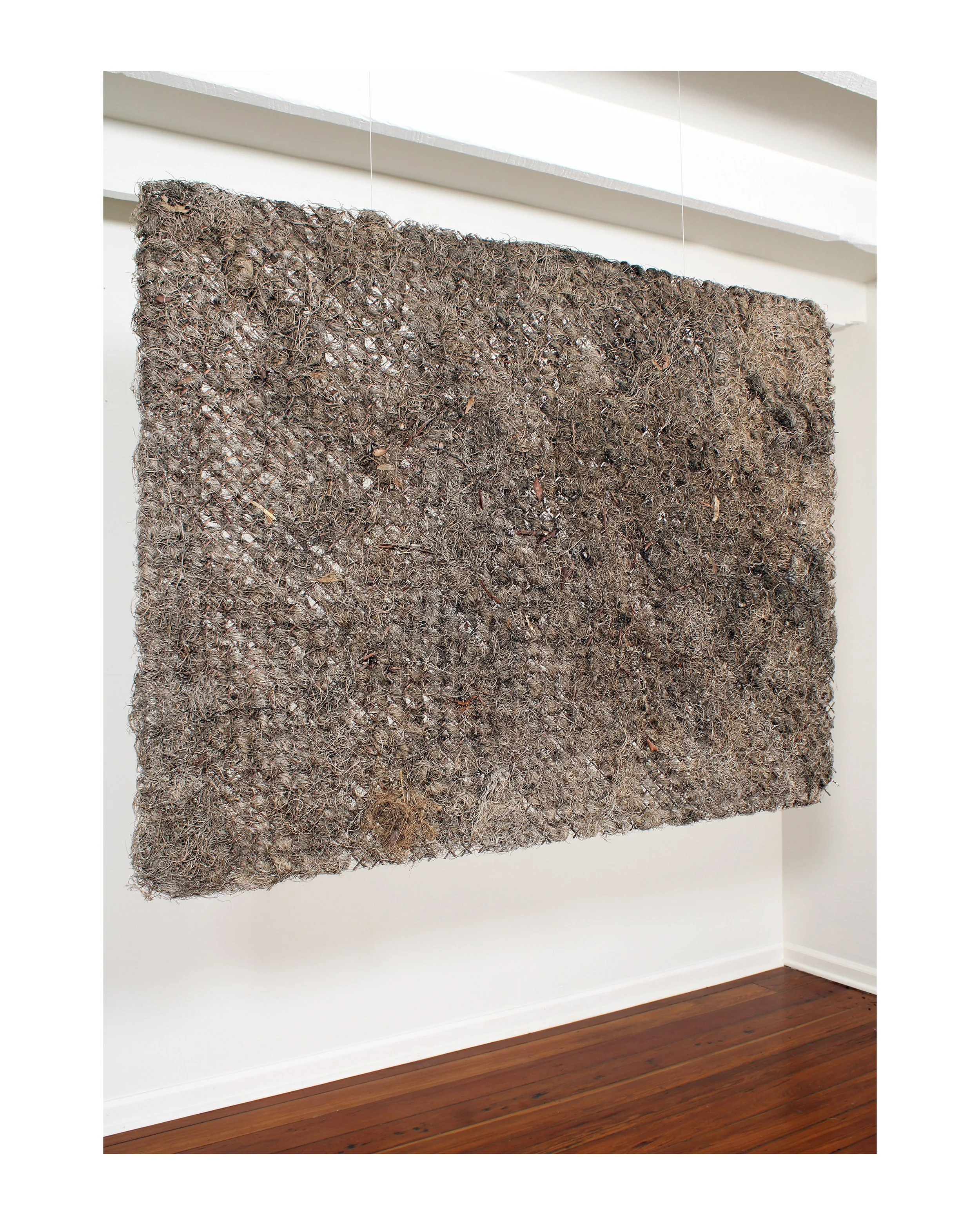    Garden (view 1),   2025  Dried plant material, copper mesh, nylon line  36 1/2 × 50 × 1 3/4 in    Garden   is a suspended installation composed of dried plant material contained within a copper mesh framework. The work began with live Spanish moss