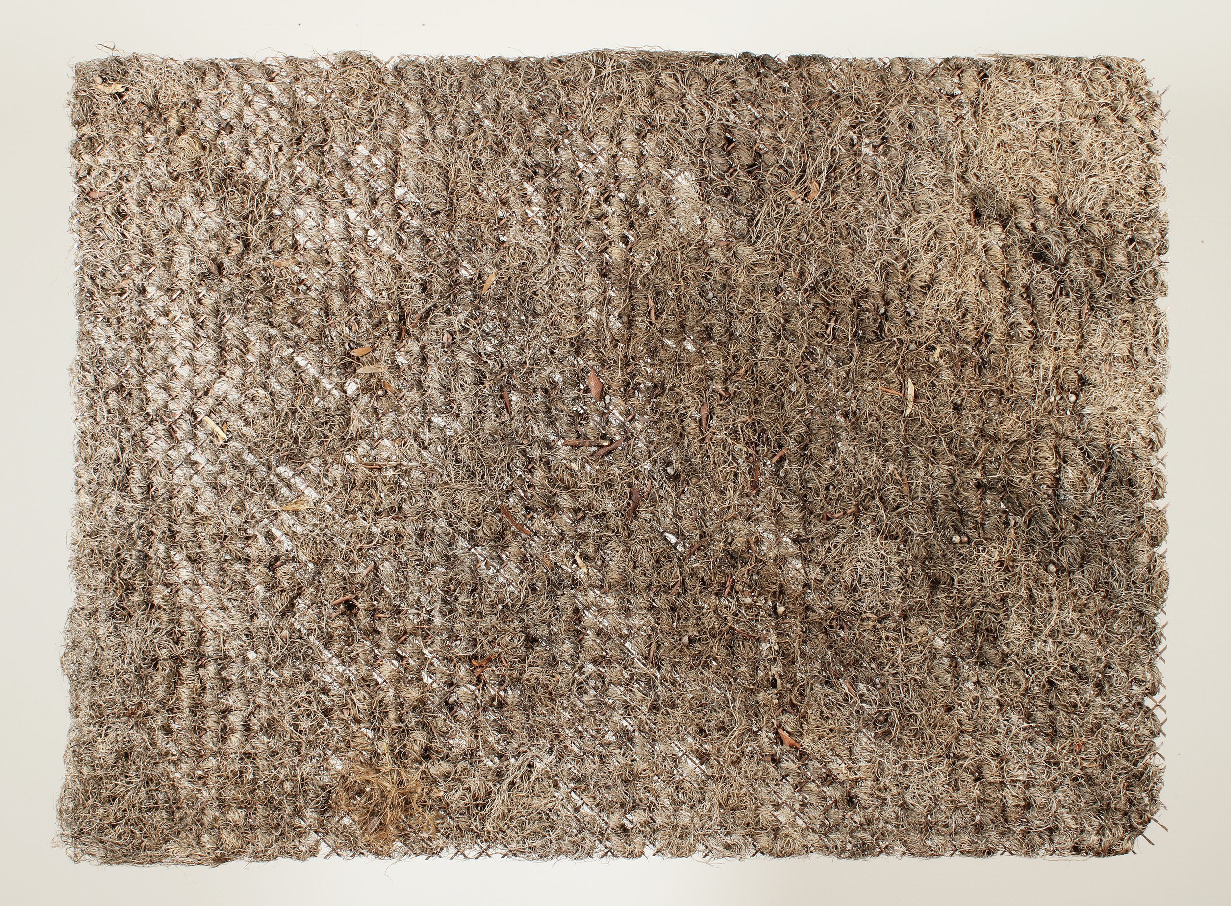    Garden (view 2),   2025  Dried plant material, copper mesh, nylon line  36 1/2 × 50 × 1 3/4 in  Suspended installation   