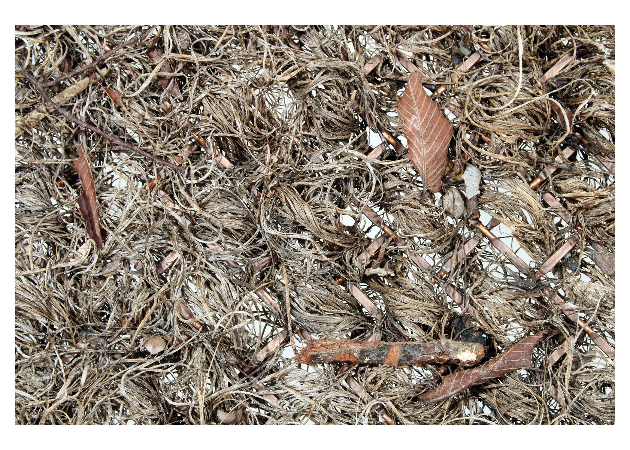    Garden (detail),   2025  Dried plant material, copper mesh, nylon line  36 1/2 × 50 × 1 3/4 in   