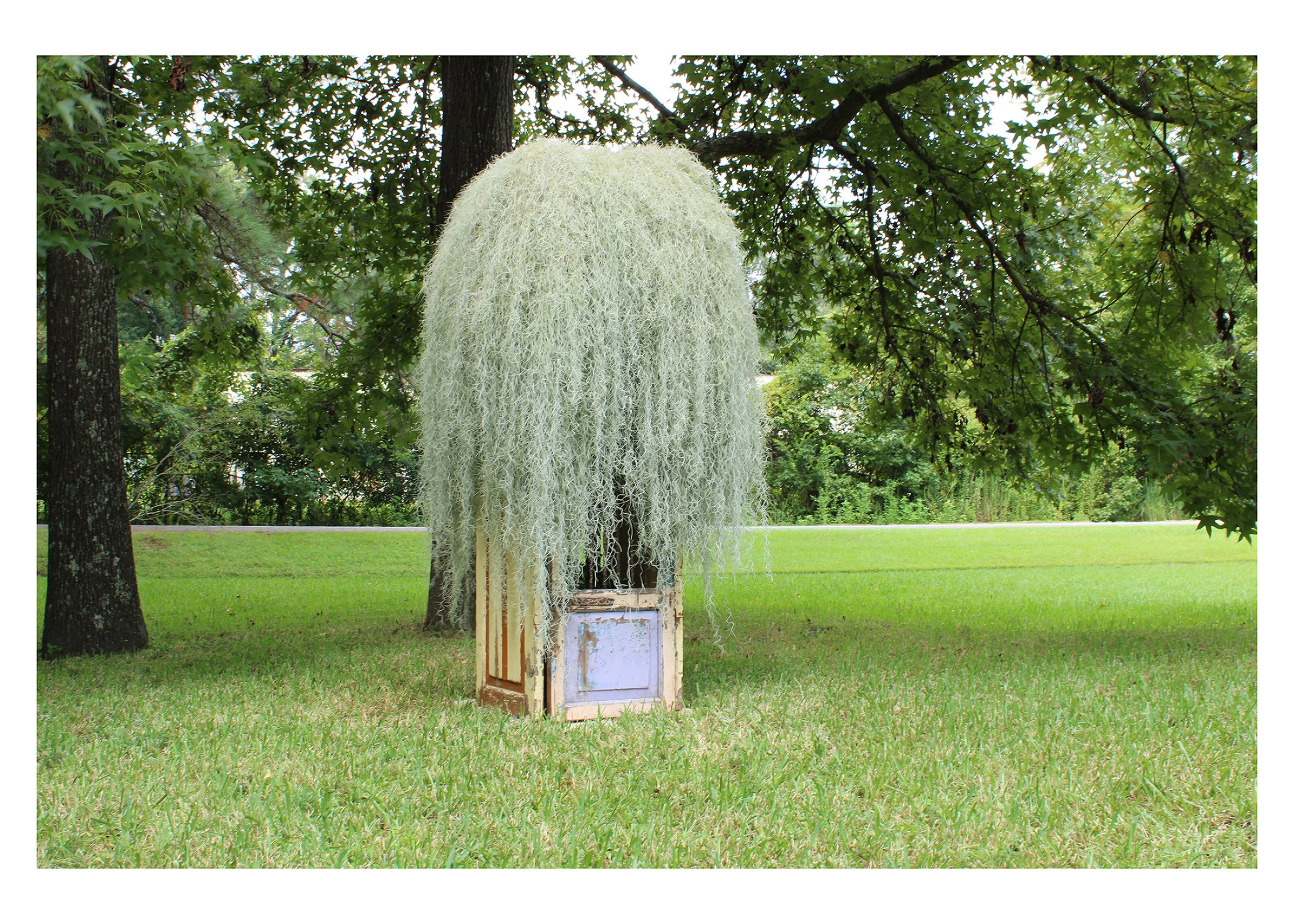    Understory  , 2026  Spanish moss, found architectural elements, stainless steel mesh, nylon mesh, plant material, soil  80 x 36 x 36 in (approx.)  On view at Laney Contemporary through Dec 19, 2026   Understory  is an outdoor installation in which