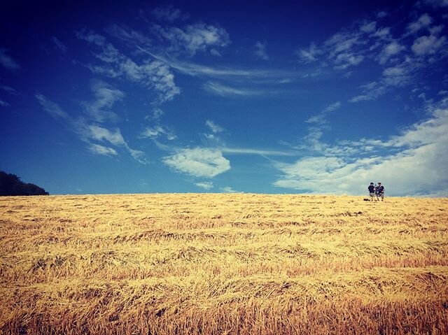 Final few days on #worzelgummidge .
.
.
.
.
.
.
#dop #arri #alexamini #bbc #fields #teradek #film #moviemaking #filmproduction #camera #cameracrew #gimbal #ronin2 #producer #director #cameradepartment #djironin2 #movi #gimbaloperator #aco_uk #dji #fr