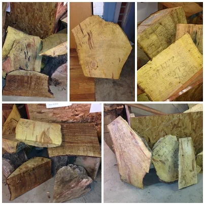 Waxed Box Elder Cut-Offs