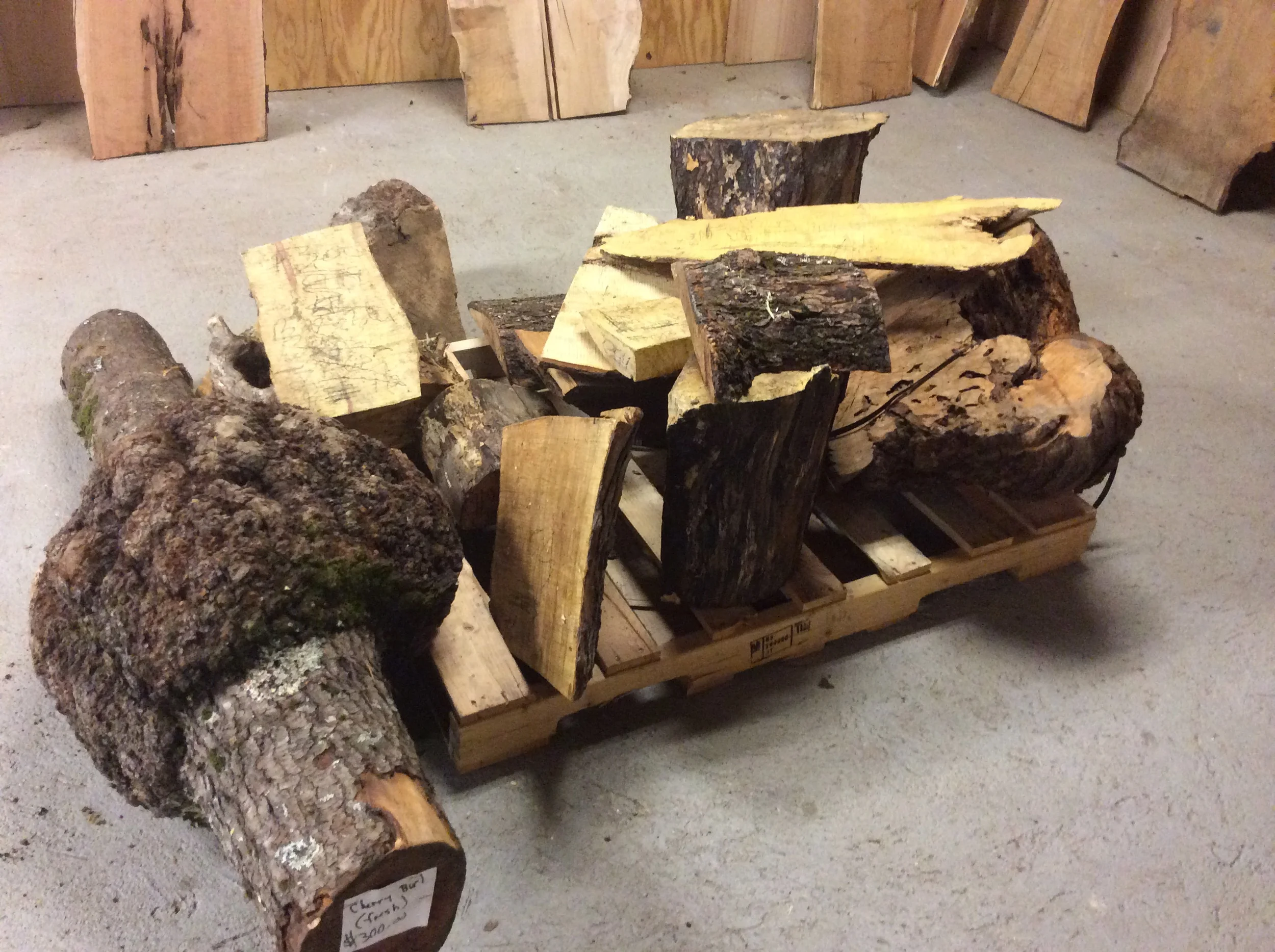 Assorted Waxed Cut-Offs