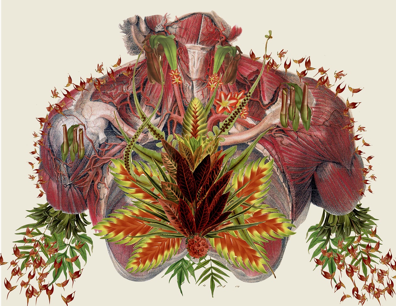 http://www.thisiscolossal.com/2014/03/anatomical-collages-by-travis-bedel/