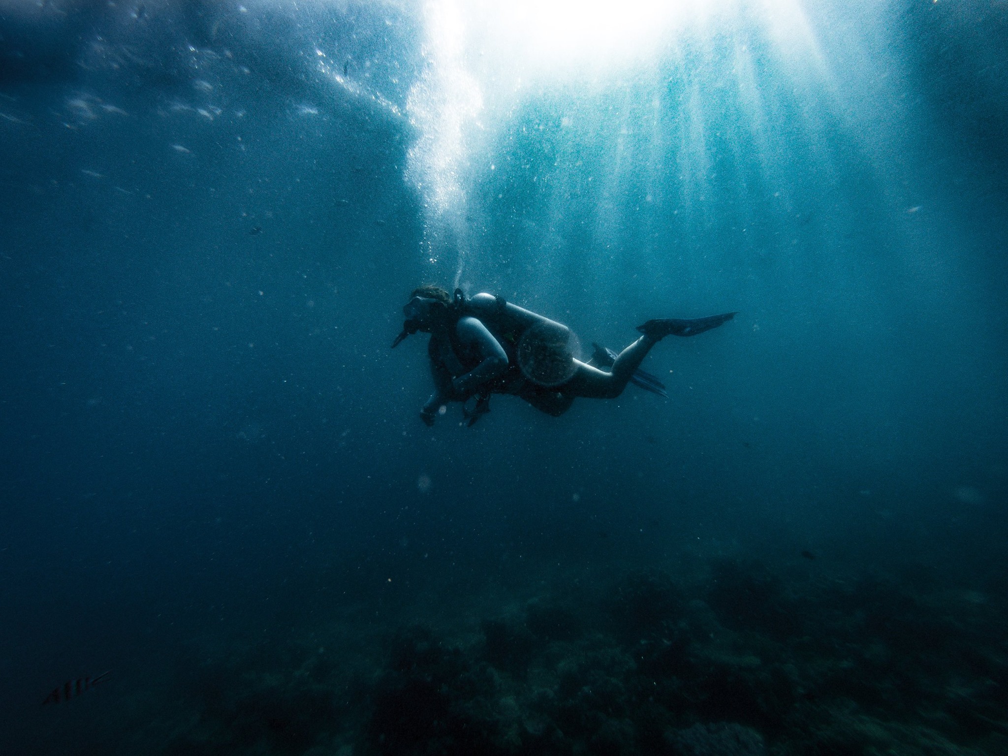 This image was shot on a Hero 5 about 15 feet underwater.