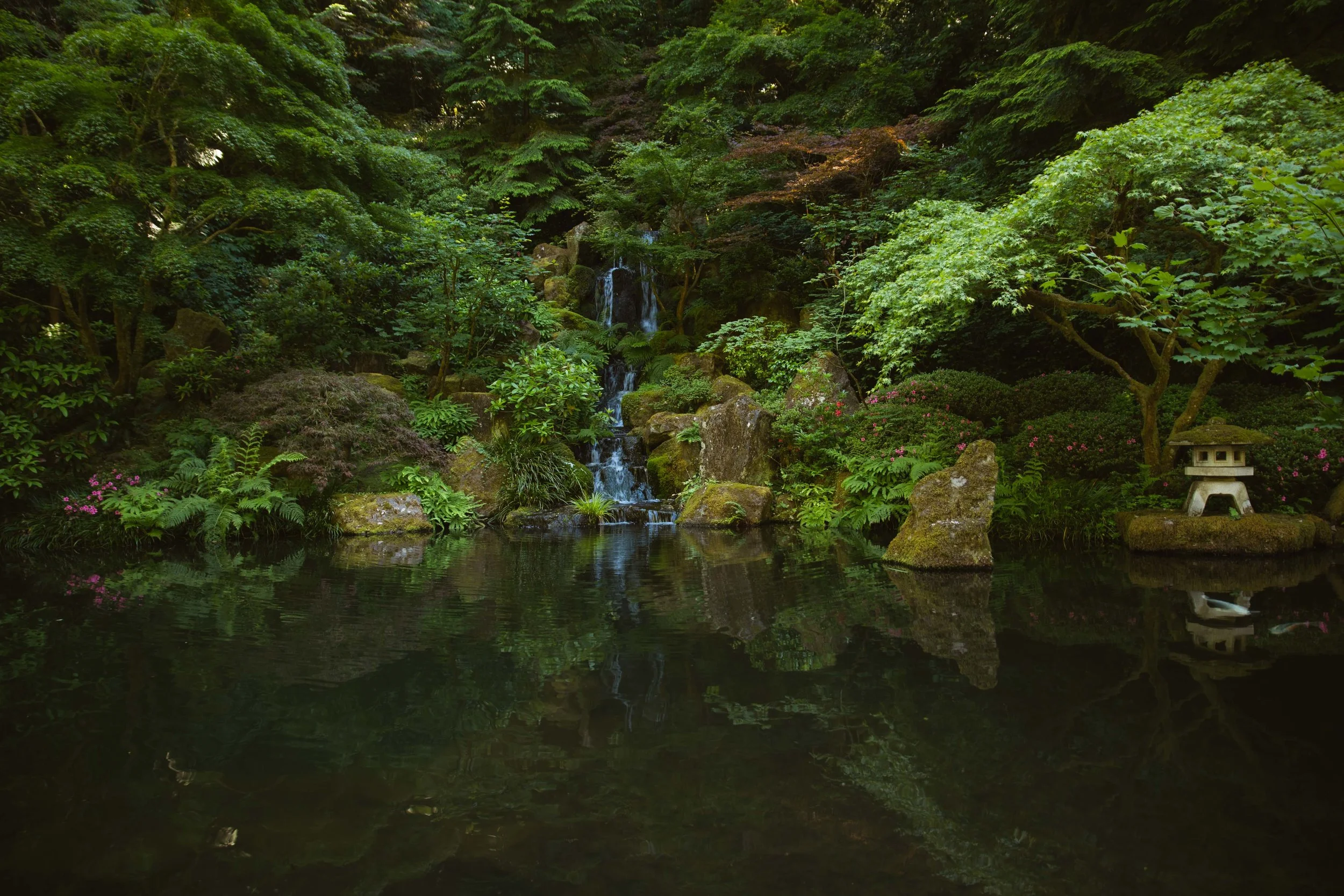 Portland Japanese Garden’s Natural Garden has multiple ponds, waterfalls, and streams